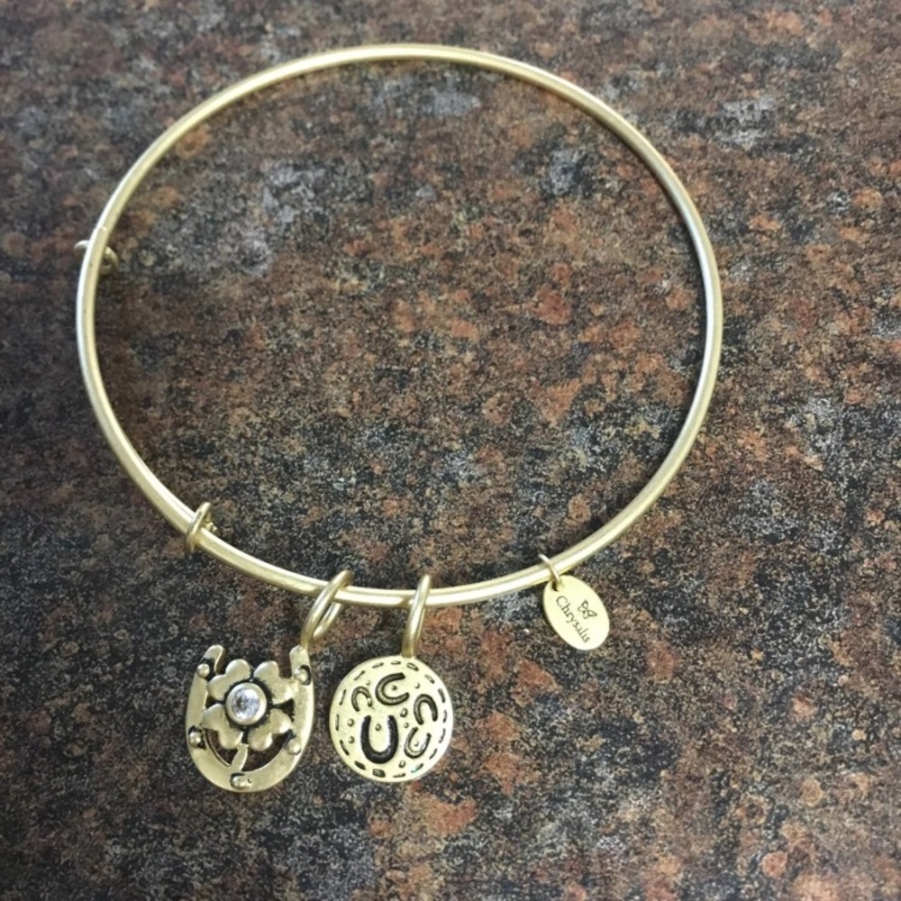 ❌SOLD❌NWT Alex and ani bangle bracelet- hope